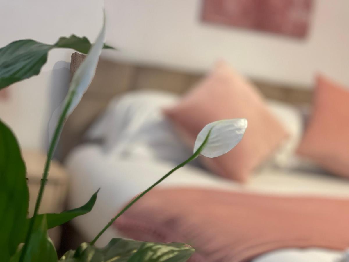 Penderi House Usk With Cymru Holidays Εξωτερικό φωτογραφία